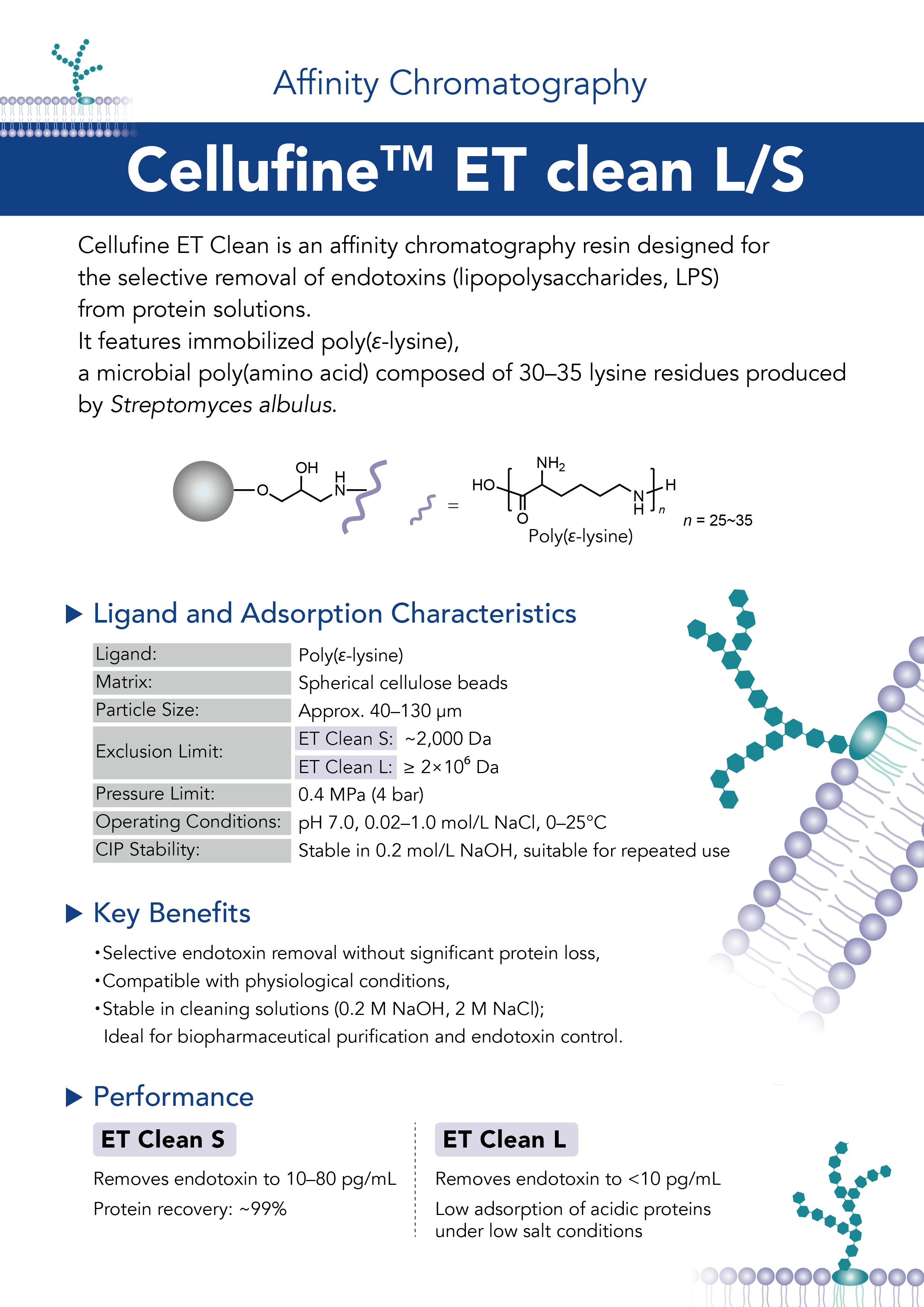 20250829_JNC株式会社_A4チラシET clean LS