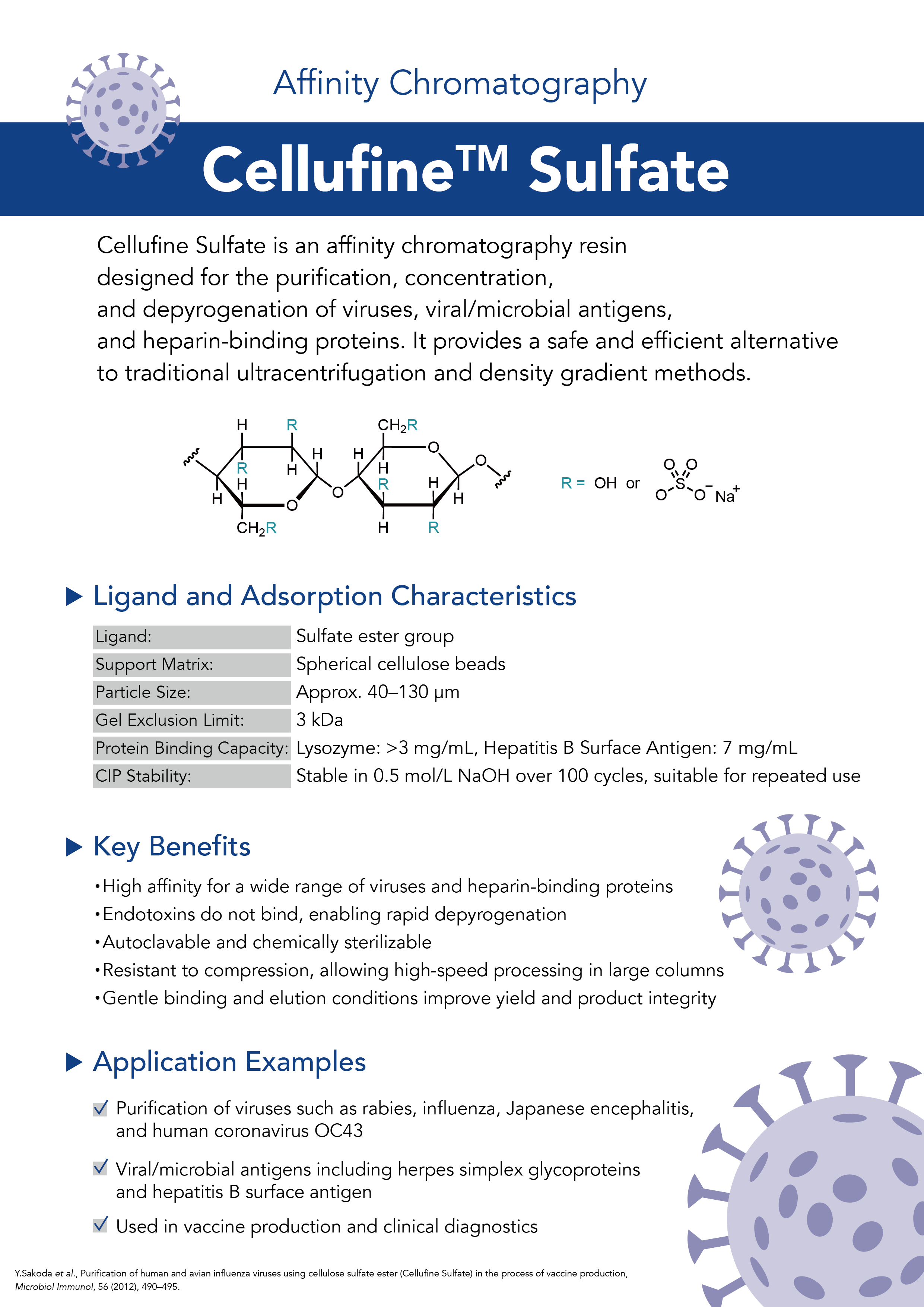 20250902_JNC株式会社_A4チラシSulfate