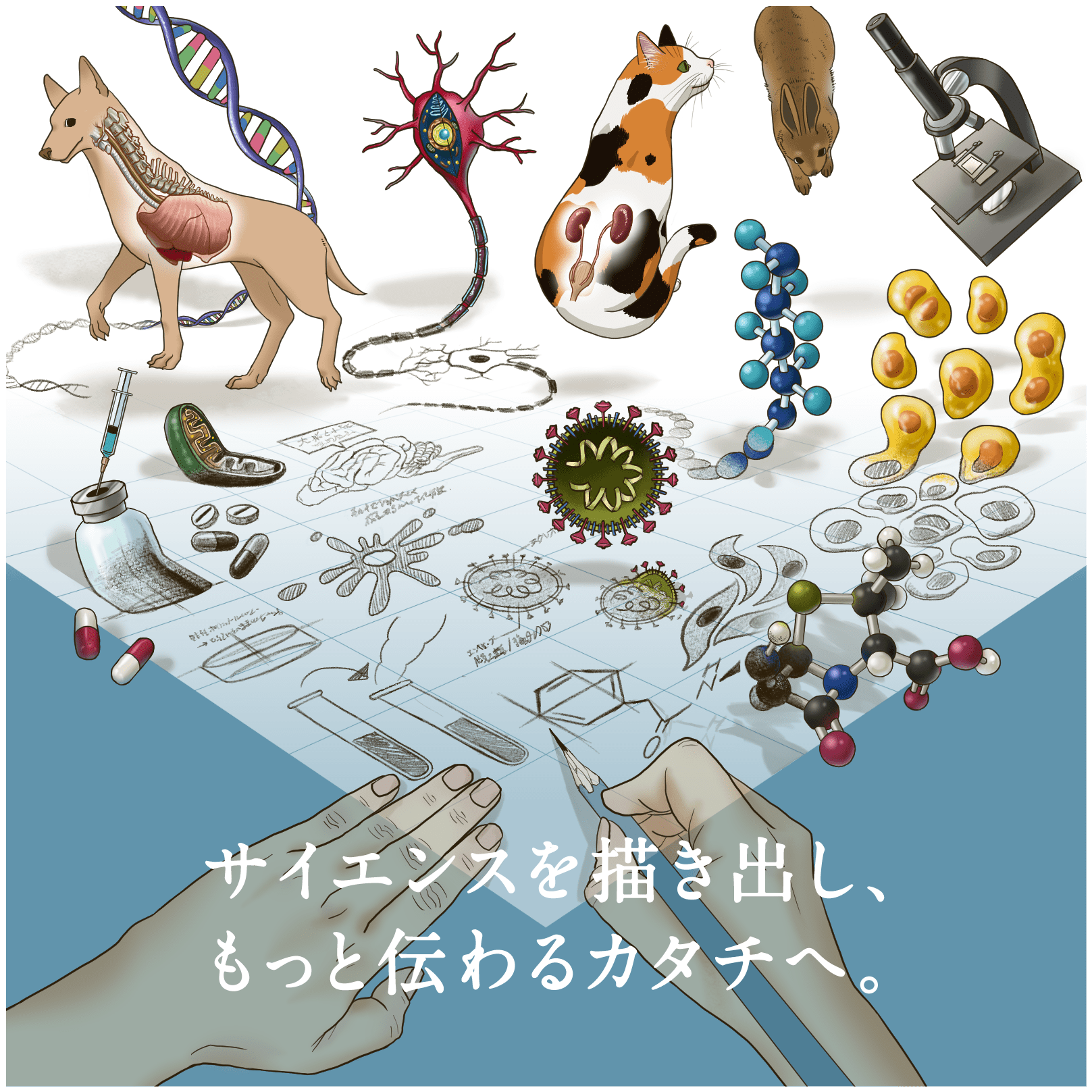 サイエンスを描き出し、もっと伝わるカタチへ